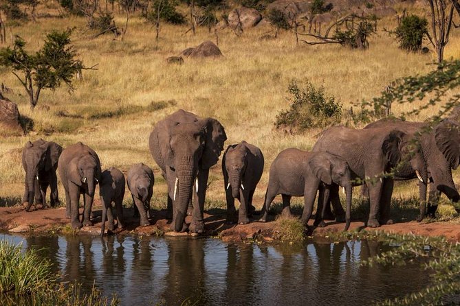 12 Days Amazing Tanzania Wildlife and Cultural Experience - Why this northern Tanzania route is such a good fit