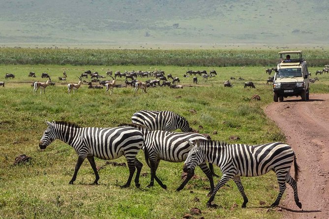 12 Days Amazing Tanzania Wildlife and Cultural Experience - Lake Eyasi: culture day that actually has substance