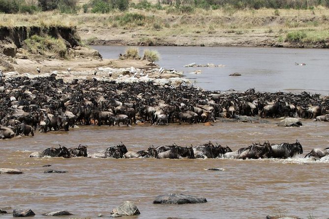 12 Days Amazing Tanzania Wildlife and Cultural Experience - Ngorongoro Crater: an early start on the crater floor