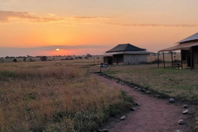 12 Days Safari Tour around Mt Kilimanjaro off the beaten - Lake Manyara and Lake Natron: Forest Baboons, Waterfalls, and Flamingo Breeding Grounds