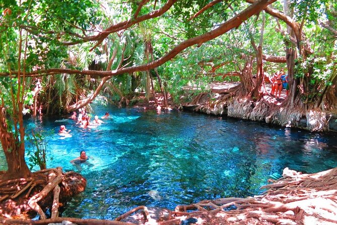 2-Day Masai Village Camping Experience and Kikuletwa Hot Spring - Key highlights