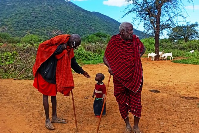 2-Day Masai Village Camping Experience and Kikuletwa Hot Spring - The Moshi to Hot Springs road trip: scenery plus a reality check