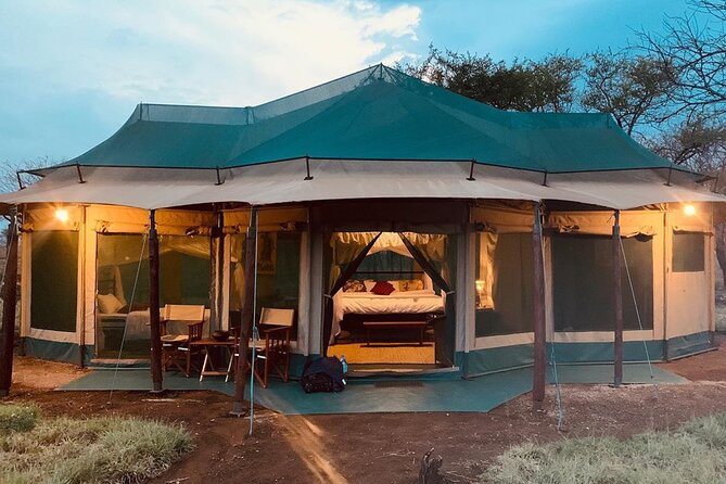 2-Day Private Guided Tour to Tarangire and Ngorongoro - Two parks, one tight schedule, and why that’s still worth it