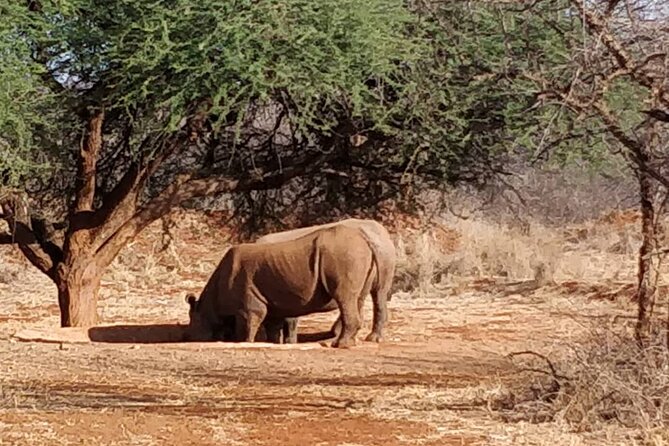 2-Day Private Guided Tour to Tarangire and Ngorongoro - What to expect day to day, hour by hour