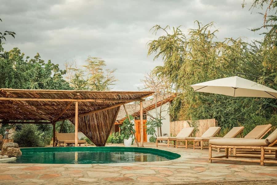 2-Day Private Luxury Safari from Zanzibar with Flights - Zanzibar, Then Safari, Then Back Again