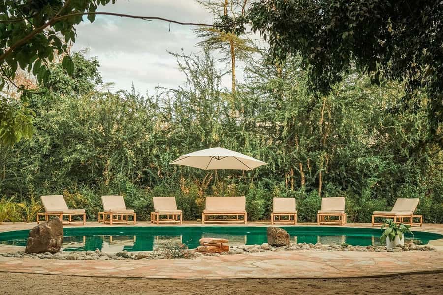 2-Day Private Luxury Safari from Zanzibar with Flights - Ngorongoro Marera Lodge: Luxury Between Two Big Days