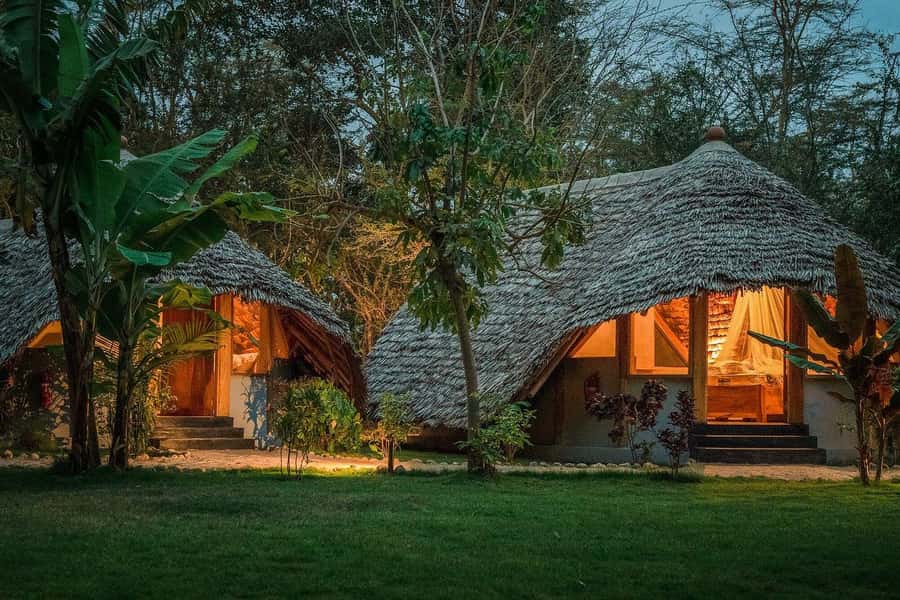 2-Day Private Luxury Safari from Zanzibar with Flights - The Ngorongoro Crater Descent: Morning Wildlife Viewing at Its Best
