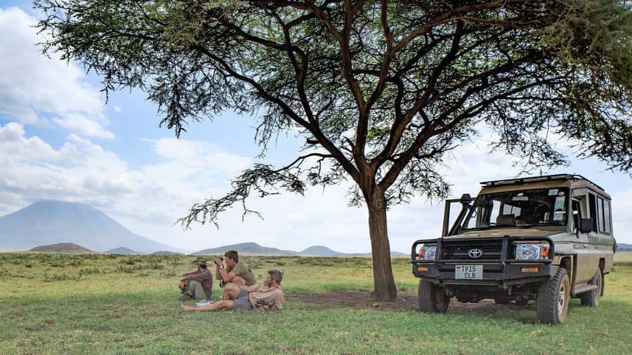 2-Day Private Luxury Safari from Zanzibar with Flights - Price and Value: What $1,600 Really Buys