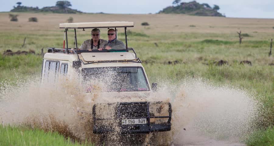 2-Day Private Luxury Safari from Zanzibar with Flights - What It Feels Like Day to Day: Guide, Wi-Fi, Meals, and Private Flow
