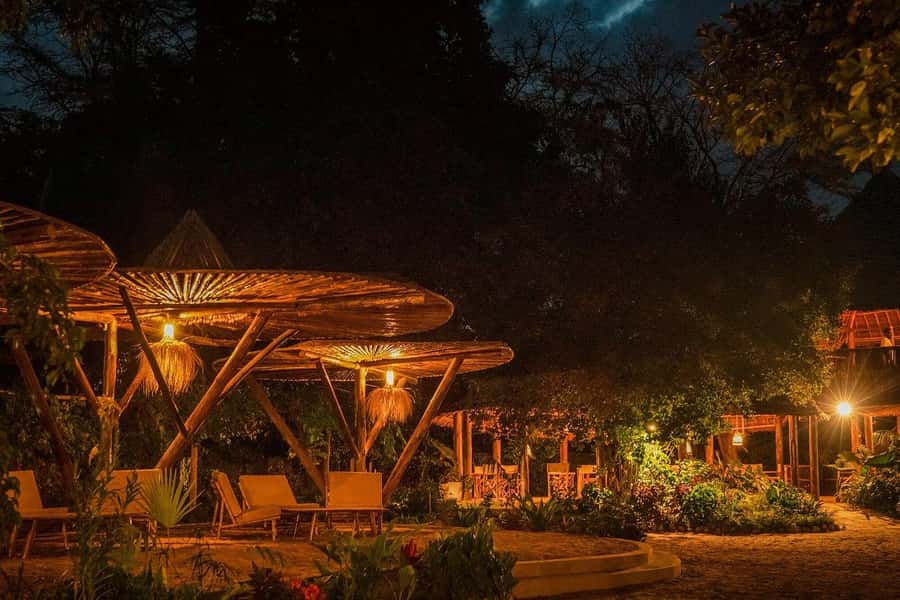 2-Day Private Luxury Safari from Zanzibar with Flights - Who This Big Five Style Safari Is For