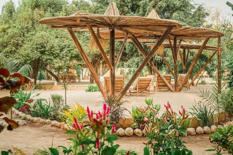 2-Day Private Luxury Safari from Zanzibar with Flights - Should You Book This 2-Day Zanzibar Luxury Safari?