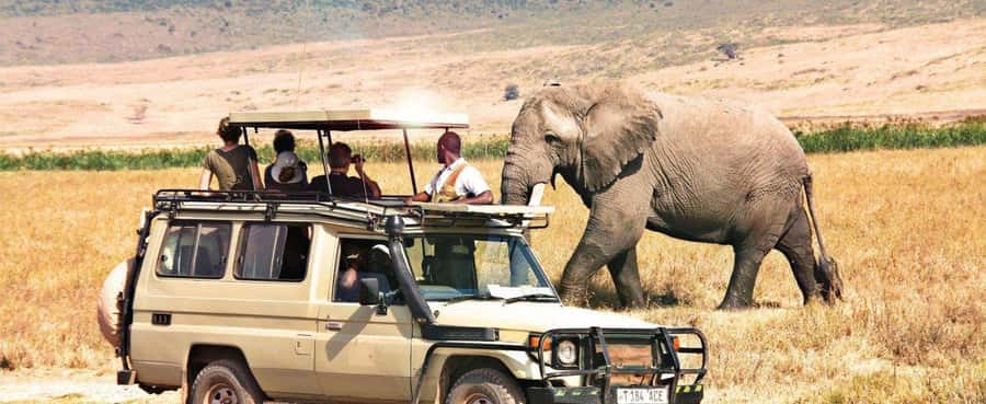 2-Day Private Luxury Safari from Zanzibar with Flights - Tarangire National Park: Elephants, Giraffes, Zebras, and Lions