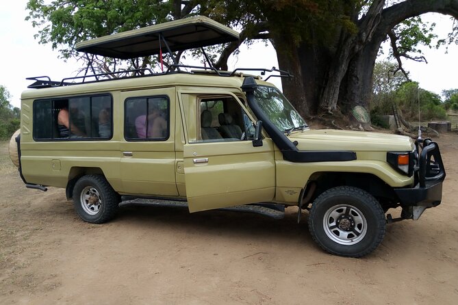 2-Day Private Mikumi National Park Tour with Pickup - Accommodation and Included Meals: The Night That Helps You Safari Better