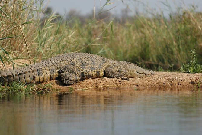 2-Day Private Mikumi National Park Tour with Pickup - Price and Value: Is $390 Per Person Worth It?