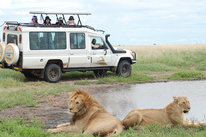 2 Day Serengeti Safari Experience from Mwanza - Hippo Pool To First Night: What Camping Or Lodge Really Changes