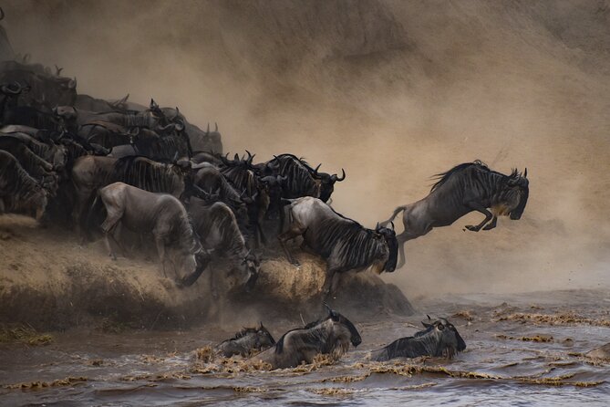 2-Day Sublime Safari to Tarangire and Ngorongoro Safari - The First Night Stop: Dinner and a Proper Reset Before the Crater