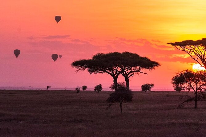 2-Day Sublime Safari to Tarangire and Ngorongoro Safari - Day 2 Ngorongoro Conservation Area: Crater Viewing, Black Rhino Odds, and Hippo Pool Lunch