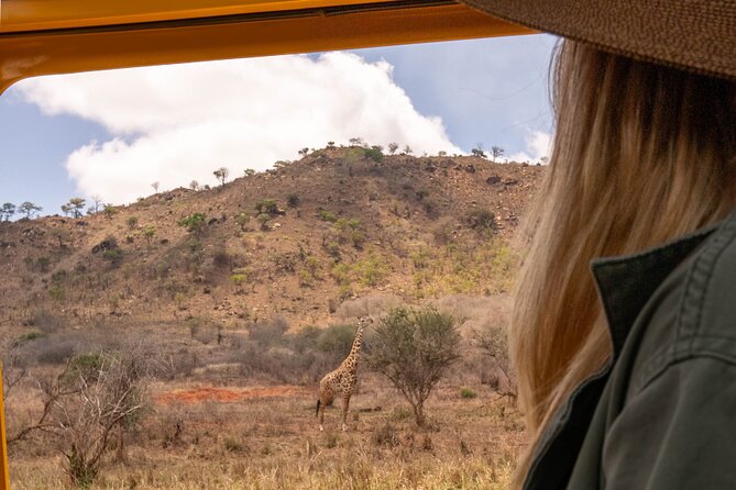 2 Day Tanzania Safari in Tarangire and Ngorongoro Crater - Fast-Track Safari: Two Parks in Two Days from Moshi