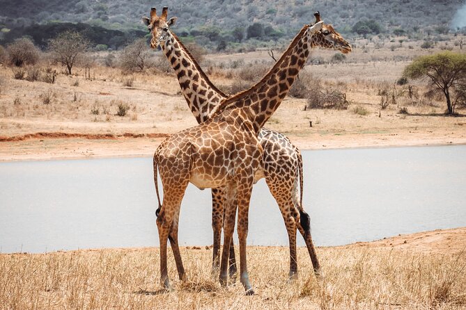 2 Day Tanzania Safari in Tarangire and Ngorongoro Crater - The Ngorongoro Break: Lake Magadi Snack Stop