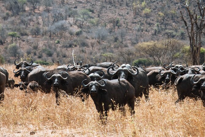 2 Day Tanzania Safari in Tarangire and Ngorongoro Crater - Tarangire National Park: Elephants at the Dry-Season Water Source