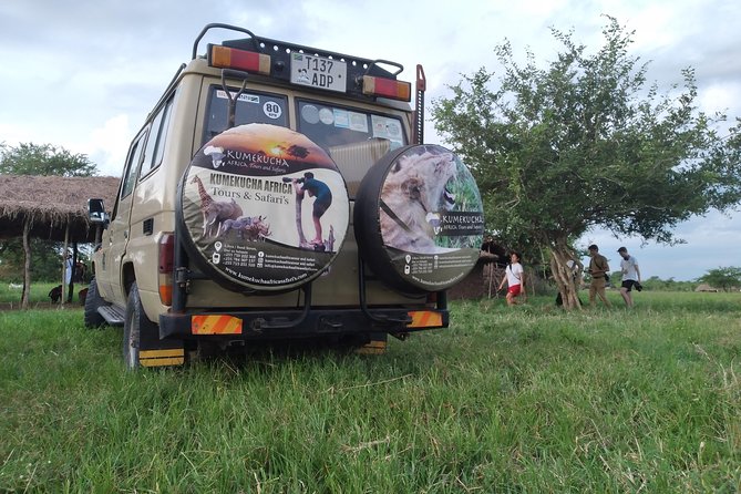 2 Day Wildlife Experience and Masai Culture Mikumi Park - Day 2: Sunrise game drive, breakfast, then Masai Boma