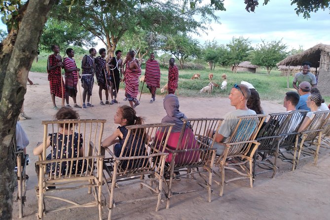 2 Day Wildlife Experience and Masai Culture Mikumi Park - Wildlife spotting reality check, and why guide skill matters
