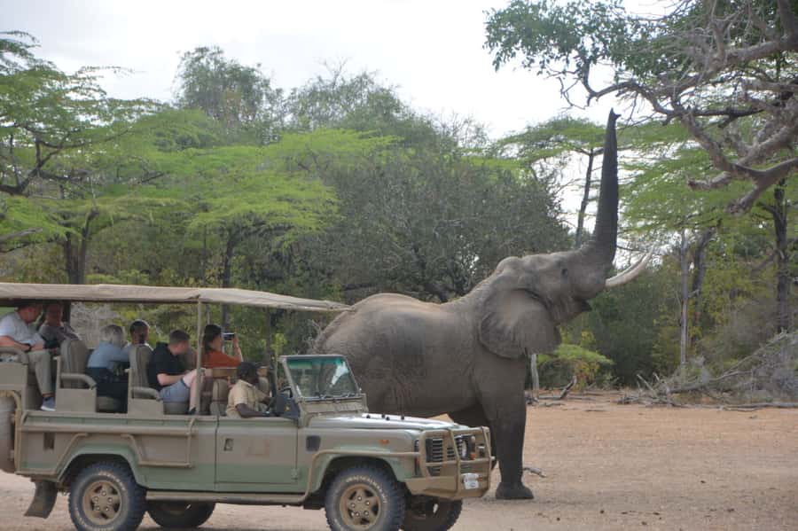 2 Day Zanzibar to Nyerere NP (Selous GR) By Flight - Zanzibar to Mtemere Airstrip, The Fast Track Into Nyerere