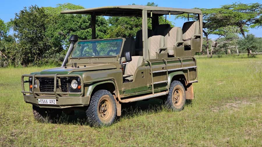 2 Day Zanzibar to Nyerere NP (Selous GR) By Flight - What to Know Before You Go (Without Overthinking It)