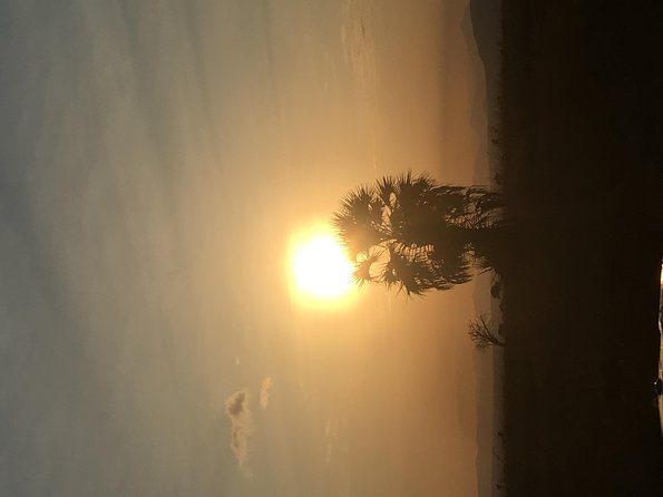 2 Days 1 Night Mikumi National Park - The Lodge Night: Where You Actually Recover for Day 2