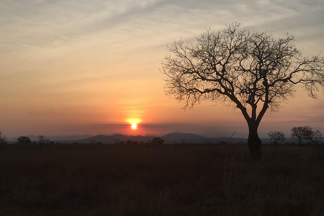 2 Days 1 Night Mikumi National Park - Your Guide and Private Vehicle: Why Benson, Jefferson, and the Team Matter