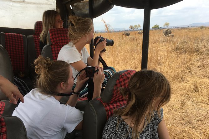 2 Days 1 Night Mikumi National Park - Meals, Fees, and the $520 Price: Is It Good Value?