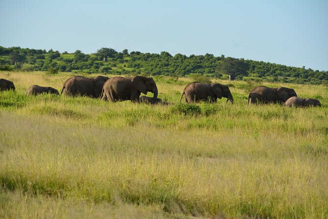 2 Days 1 Night Northern Joining Safari Private Tour - Price and value: how $780 per person stacks up for a private 2-day plan