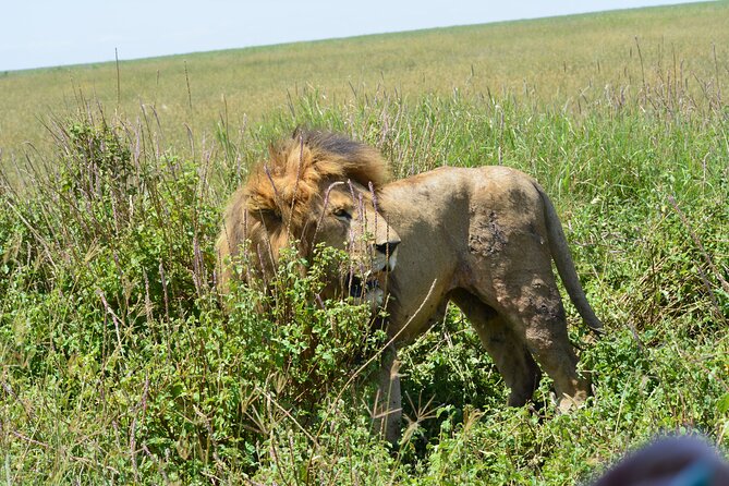 2 Days 1 Night Northern Joining Safari Private Tour - Should you book this Northern Joining Safari?