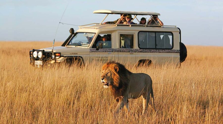 2 Days 1 Night Nyerere National Park from Zanzibar by flight - Why this safari starts with a flight from Zanzibar