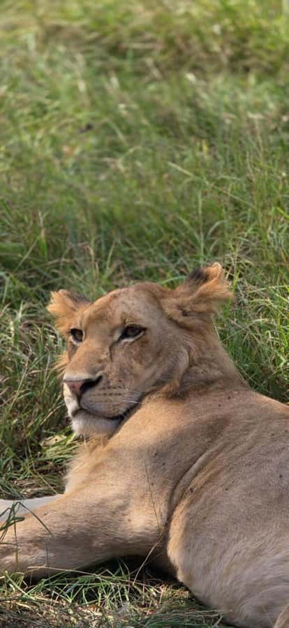 2 Days 1 Night Nyerere National Park from Zanzibar by flight - Price and value: is $941 per person fair for 2 days?