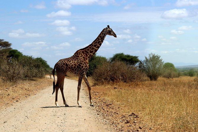 2 Days /1 Night safari to Mikumi - Uluguru Mountains stop: why that roadside scenery is worth noting