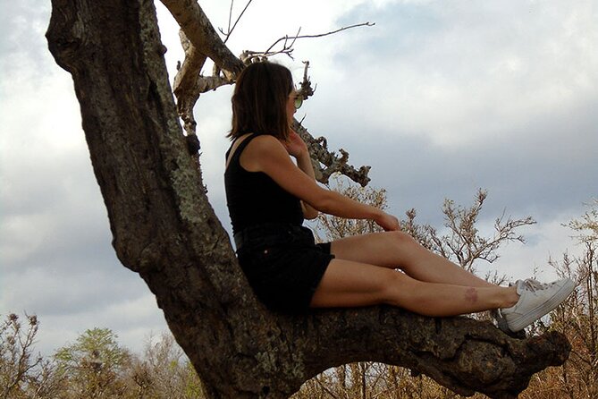 2 Days /1 Night safari to Mikumi - Price and value: is $470 per person fair?