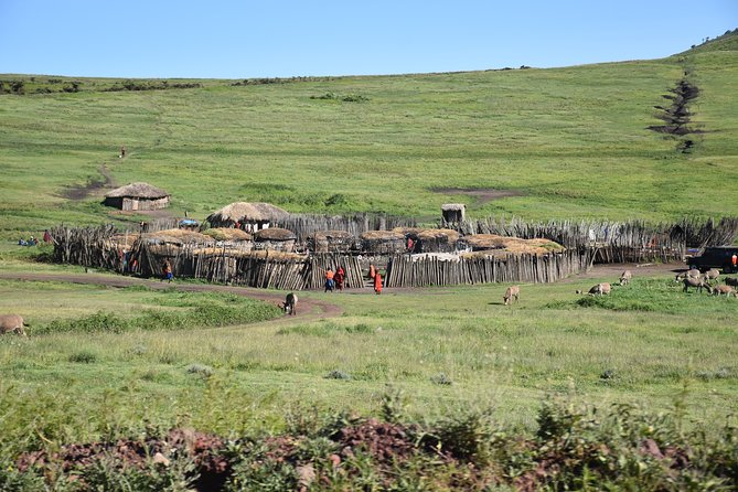 2 Days / 1 Night Tanzania Safari Tour - Getting there: pickup, timing, and small-group jeeps