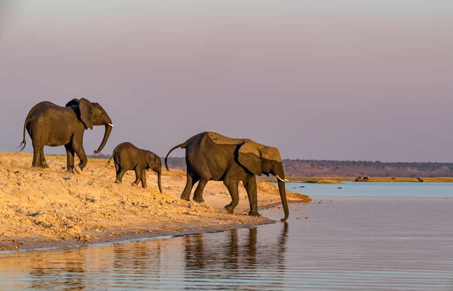 2 Days 1 Night Tarangire & Ngorongoro Crater - Key points before you go