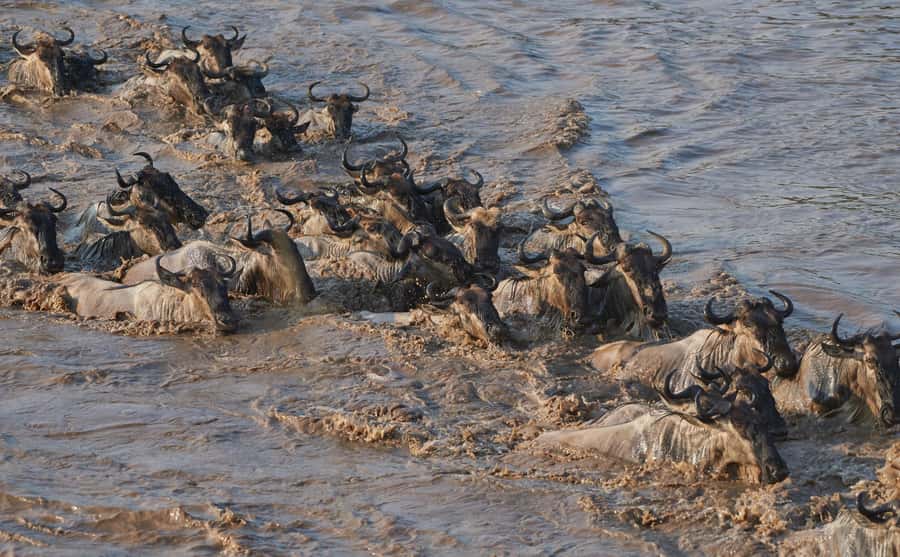 2 Days 1 Night Tarangire & Ngorongoro Crater - What the Day 1 night usually feels like: lodge comfort after a big wildlife day