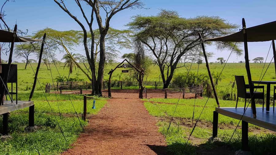 2 Days 1 Night Tarangire & Ngorongoro Crater - Price and value: what $730 includes, and what you should budget separately