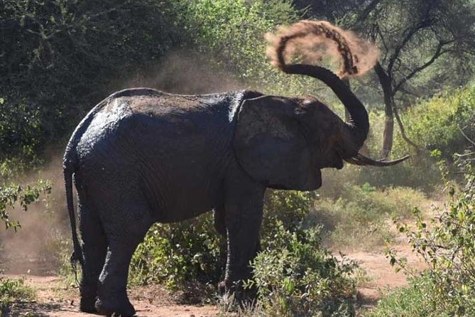 2 Days Africa Safari - Who this safari suits best, and who should think twice
