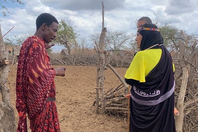 2 Days and 1 Night Mikumi Safari Private Tour - Maasai Village and the Msolwa stop: culture timed to your wildlife day