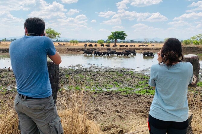 2 Days Best Safari to Mikumi National Park - Day 1 game drive: first sightings in the afternoon and evening