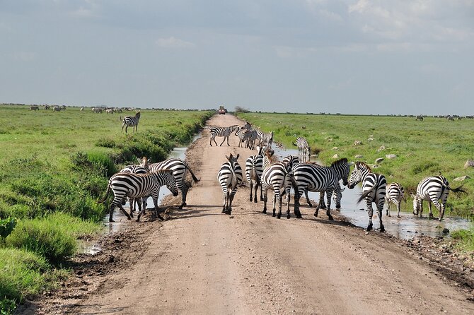 2 Days Camping Group Joining Tarangire Ngorongoro Crater Safari - Key things that make this safari tick