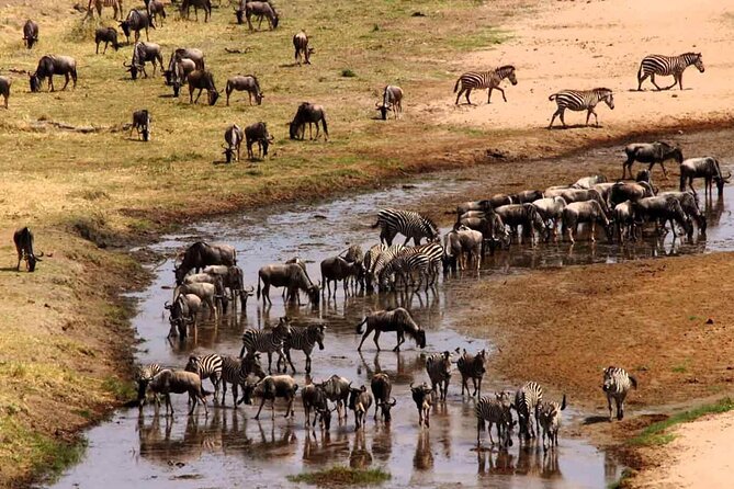 2 Days Camping Group Joining Tarangire Ngorongoro Crater Safari - Meals, water, and what to bring for comfort