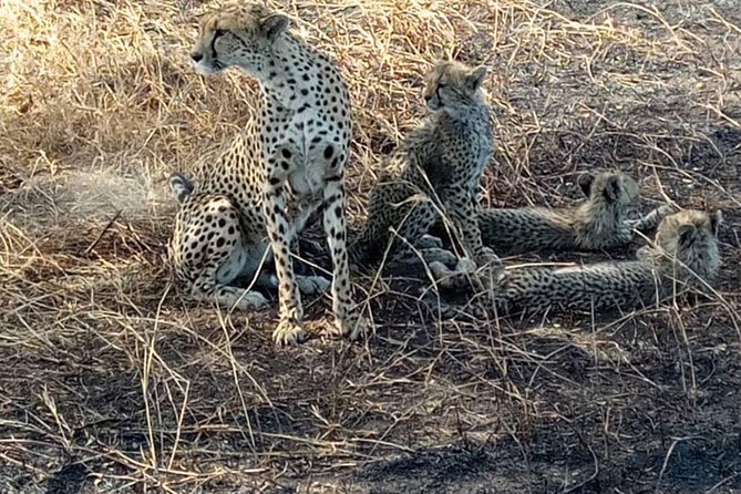 2 Days Camping Safari, Lake Manyara & Ngorongoro Crater - Small groups and guides: Jeff and Fred show up in the stories