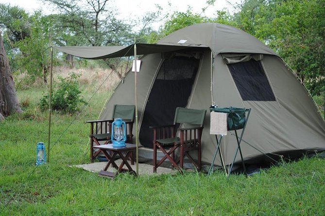 2 Days Camping Safari, Lake Manyara & Ngorongoro Crater - Lake Manyara National Park: baboons, acacia, and tree-climbing lions