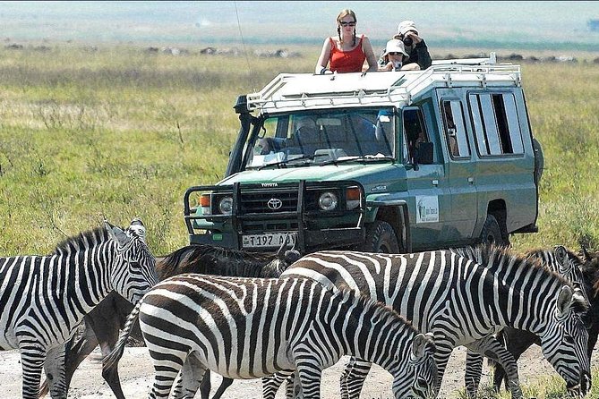2 Days Joined Group Tarangire and Ngorongoro Crater National Park - Two parks, two moods, and a very efficient 2 days