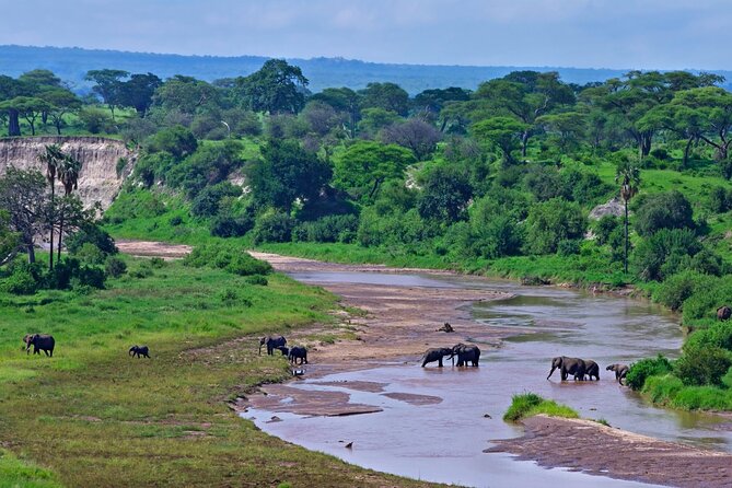 2 days Majestic Tanzania safari Tarangire and Ngorongoro Crater - Day 2: Ngorongoro Crater at dawn for denser wildlife